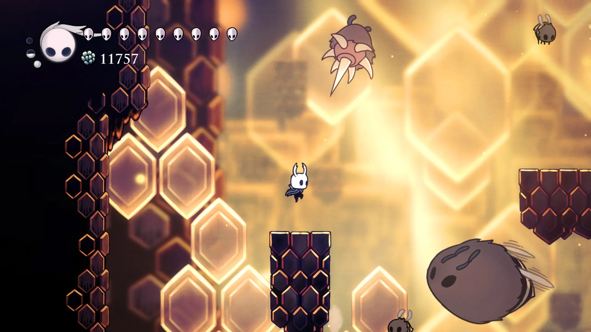 Hollow Knight screenshot 5